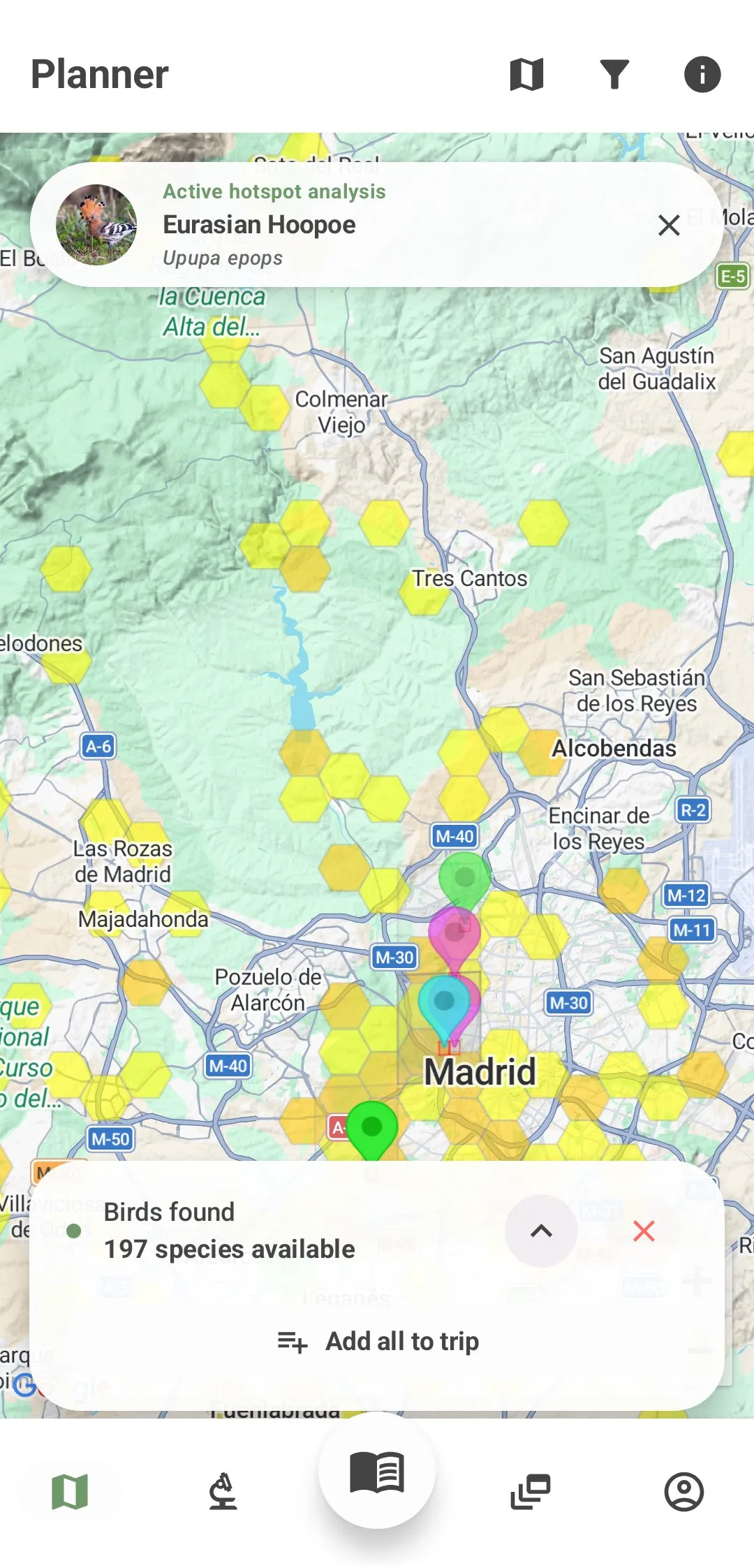 Spots where the Hoopoe has been seen most in Madrid in October