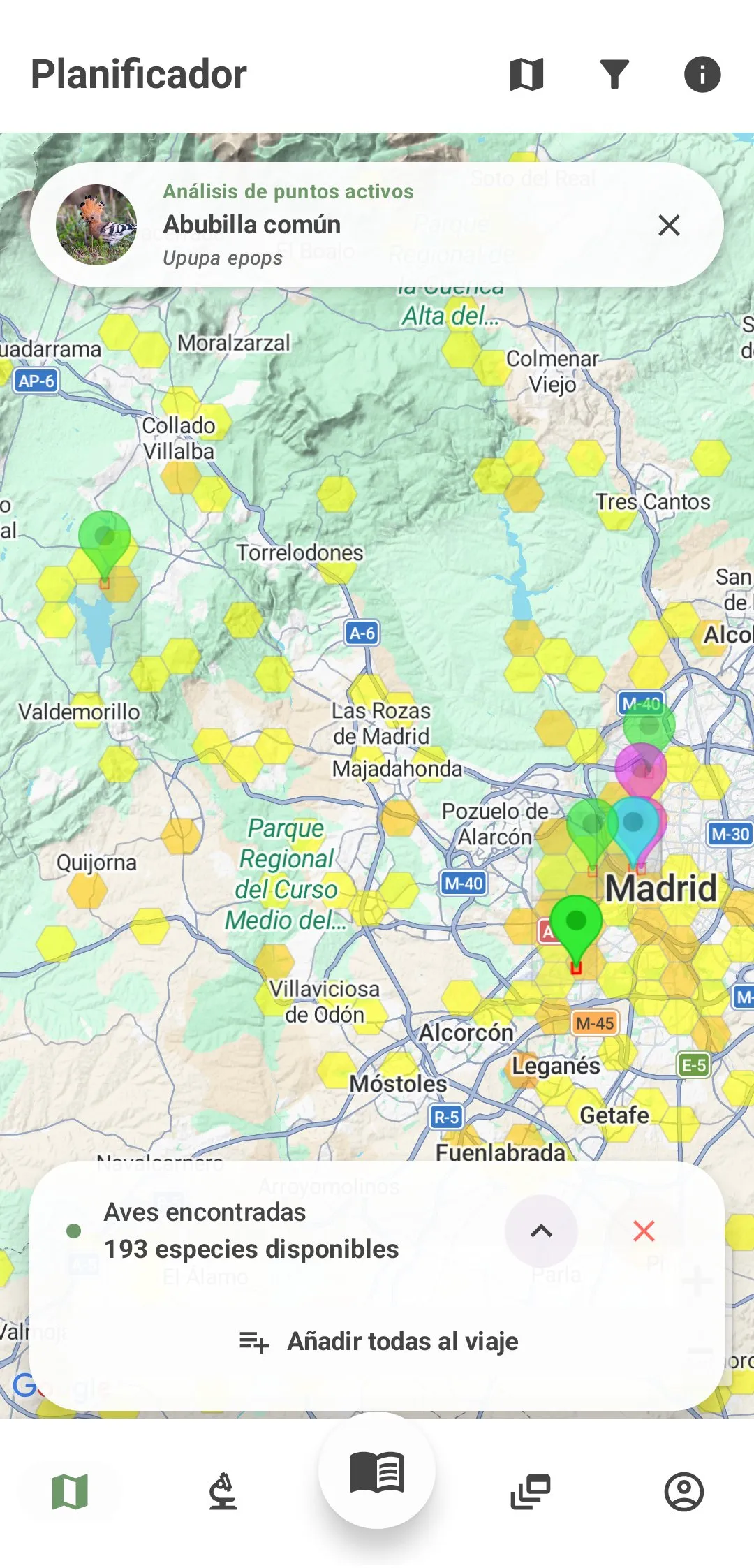 Puntos donde más se ha visto la abubilla en Madrid en octubre