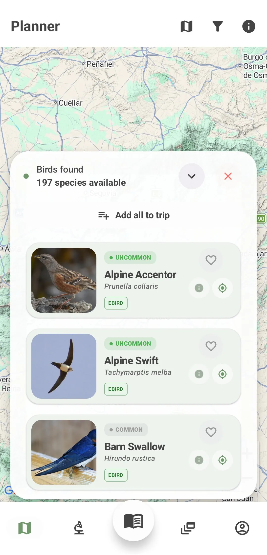 BirdPedy planner: species in Madrid in October