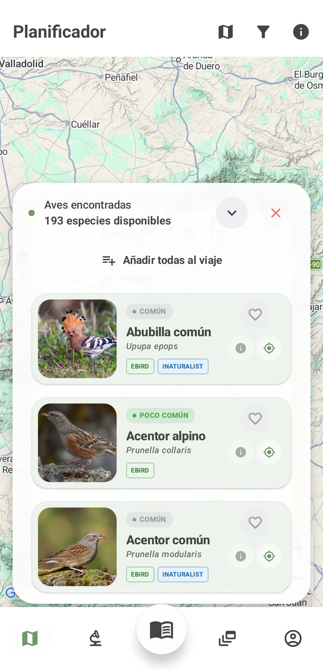 Planificador de BirdPedy: especies de Madrid en octubre