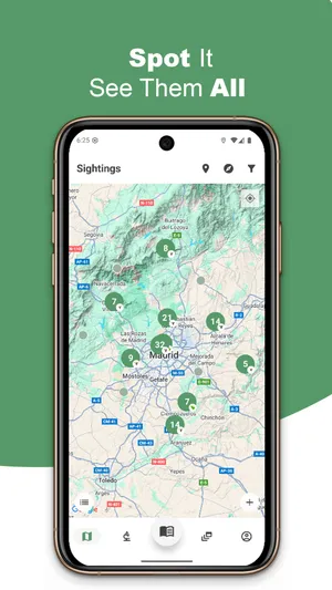 Bird list in BirdPedy in English