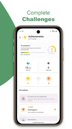 Species detail in BirdPedy in English