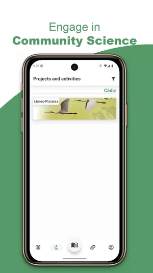 Statistics and achievements in BirdPedy in English