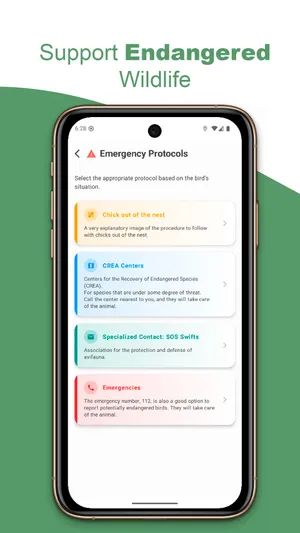 Profile and community in BirdPedy in English