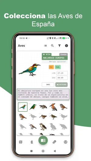 Pantalla de inicio de BirdPedy en español