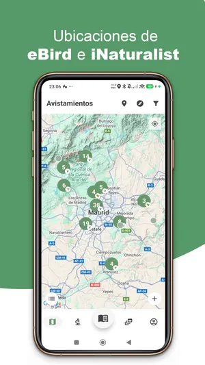Listado de aves en BirdPedy en español