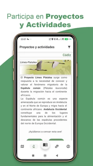 Estadísticas y logros en BirdPedy en español