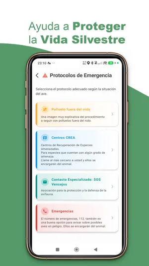 Perfil y comunidad en BirdPedy en español