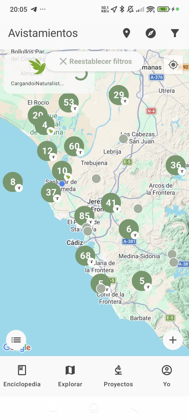 Pantalla principal de BirdPedy mostrando el listado de especies de aves disponibles en España