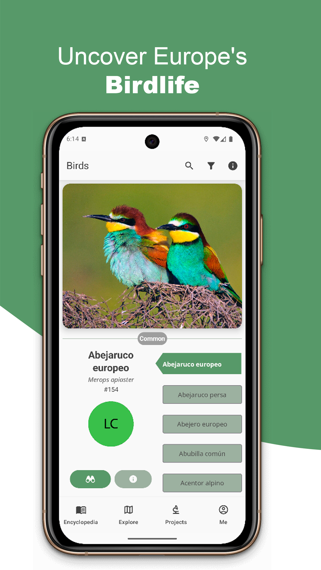 BirdPedy home screen in English