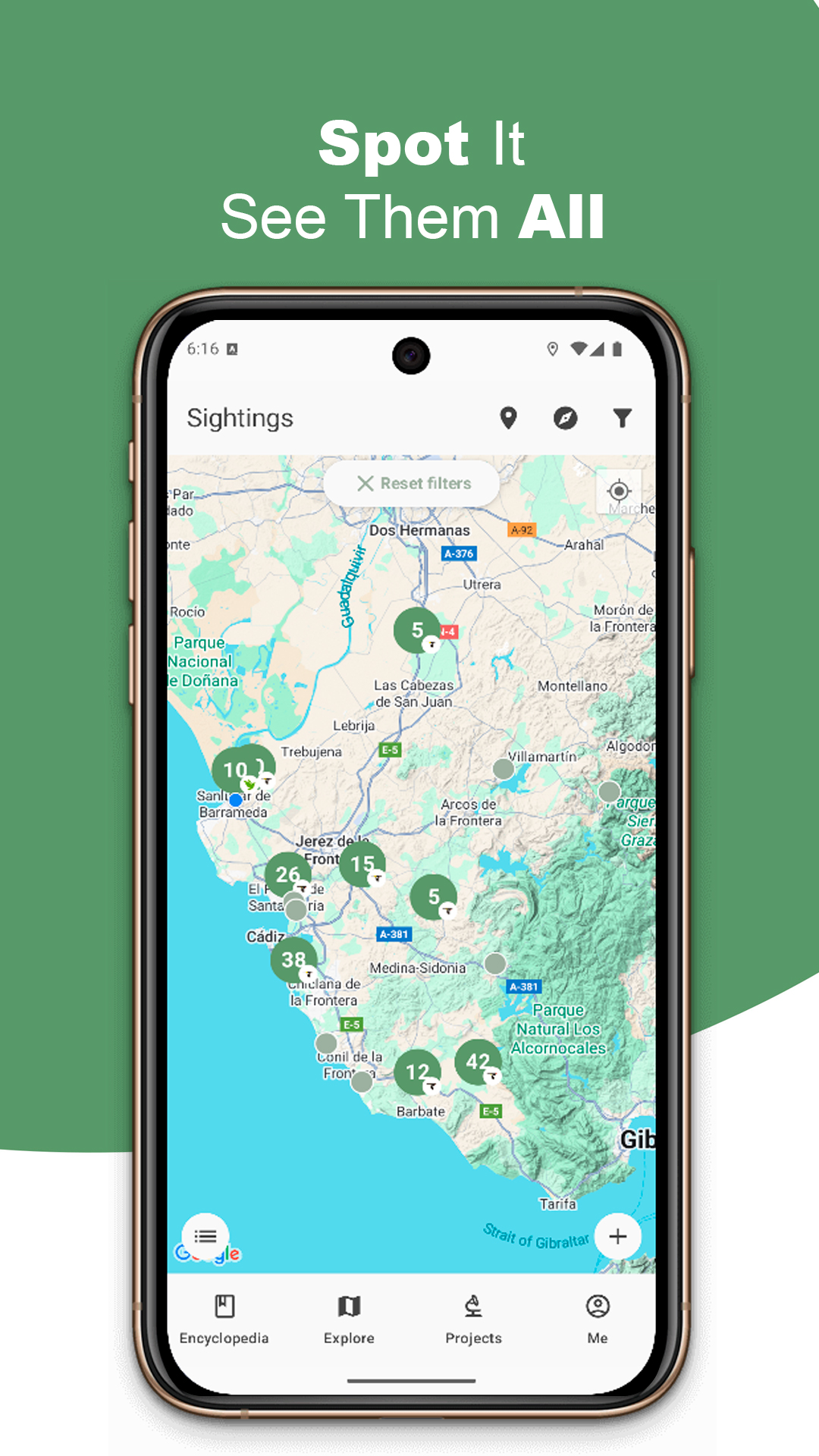 Bird list in BirdPedy in English