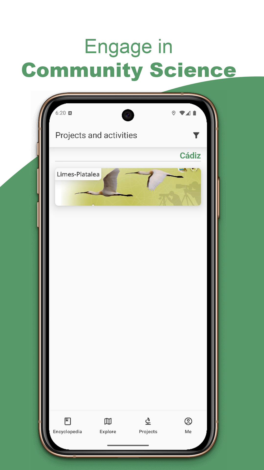 Statistics and achievements in BirdPedy in English