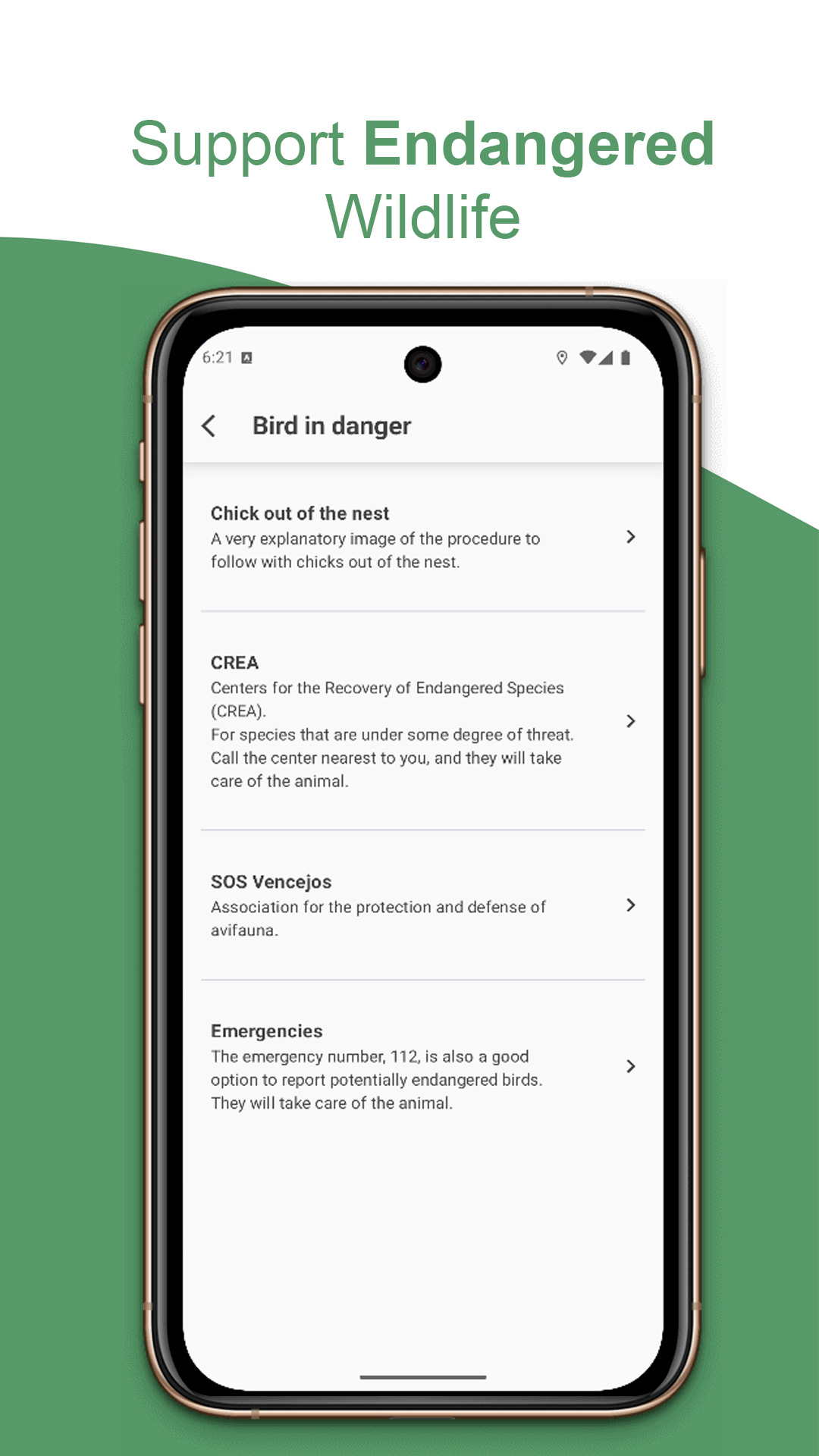 Profile and community in BirdPedy in English