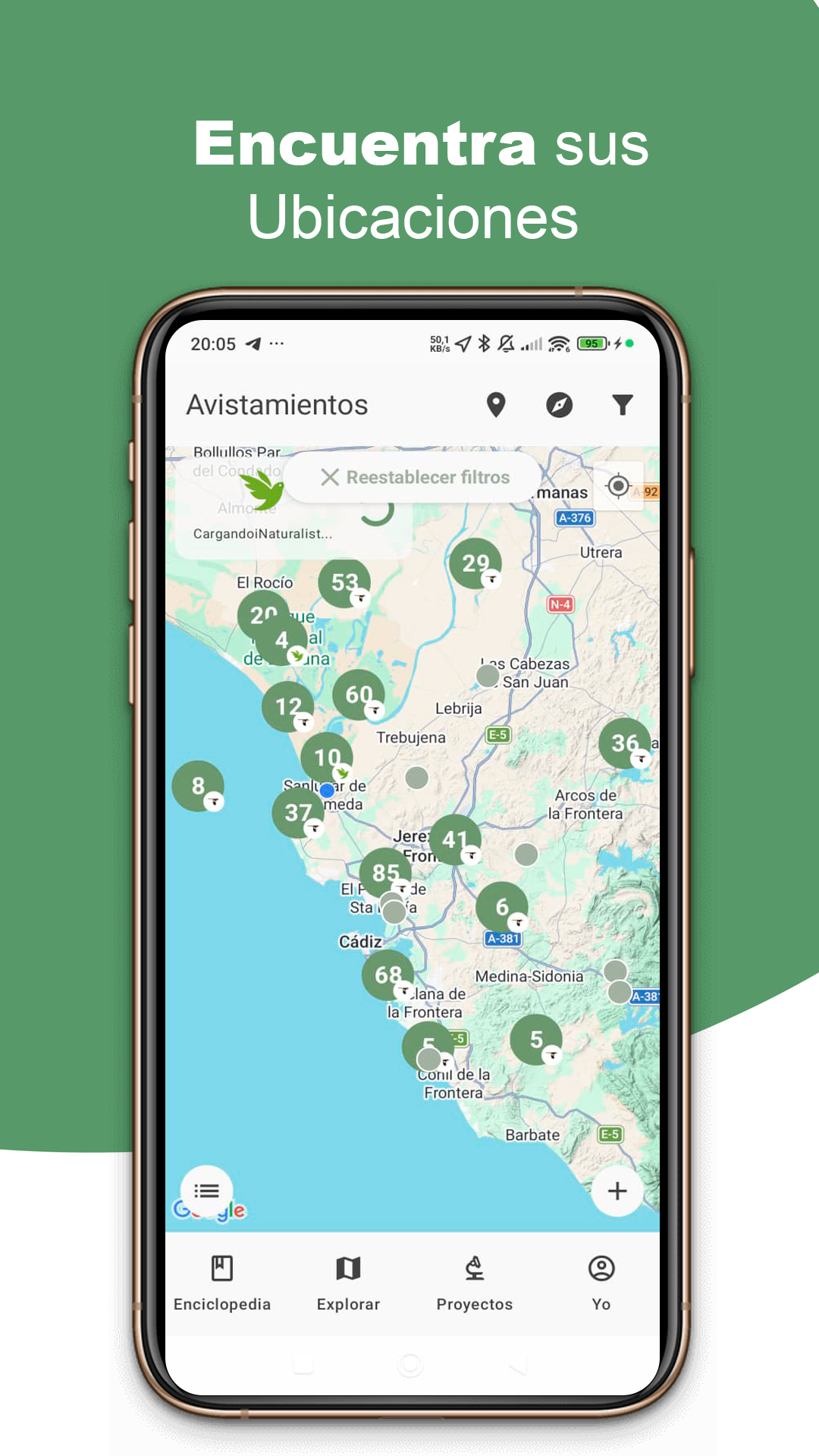 Listado de aves en BirdPedy en español