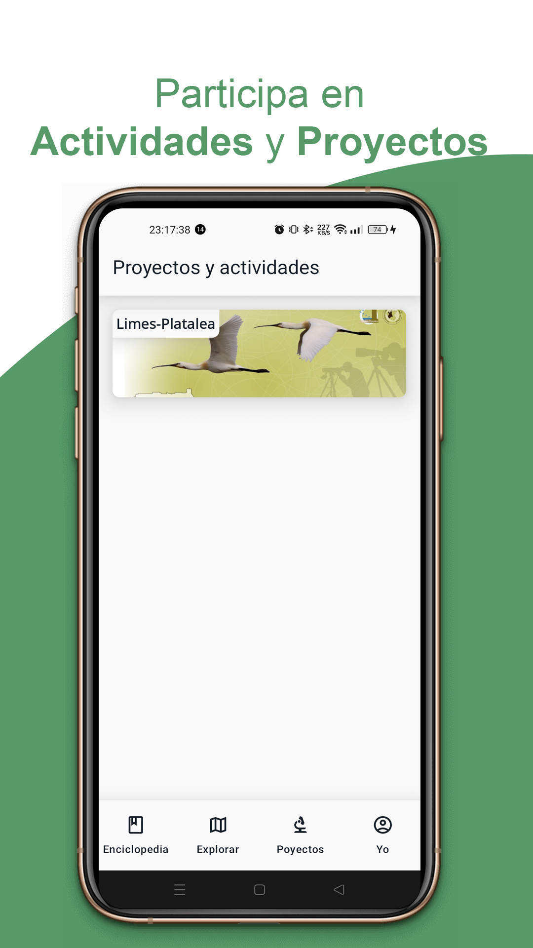 Estadísticas y logros en BirdPedy en español