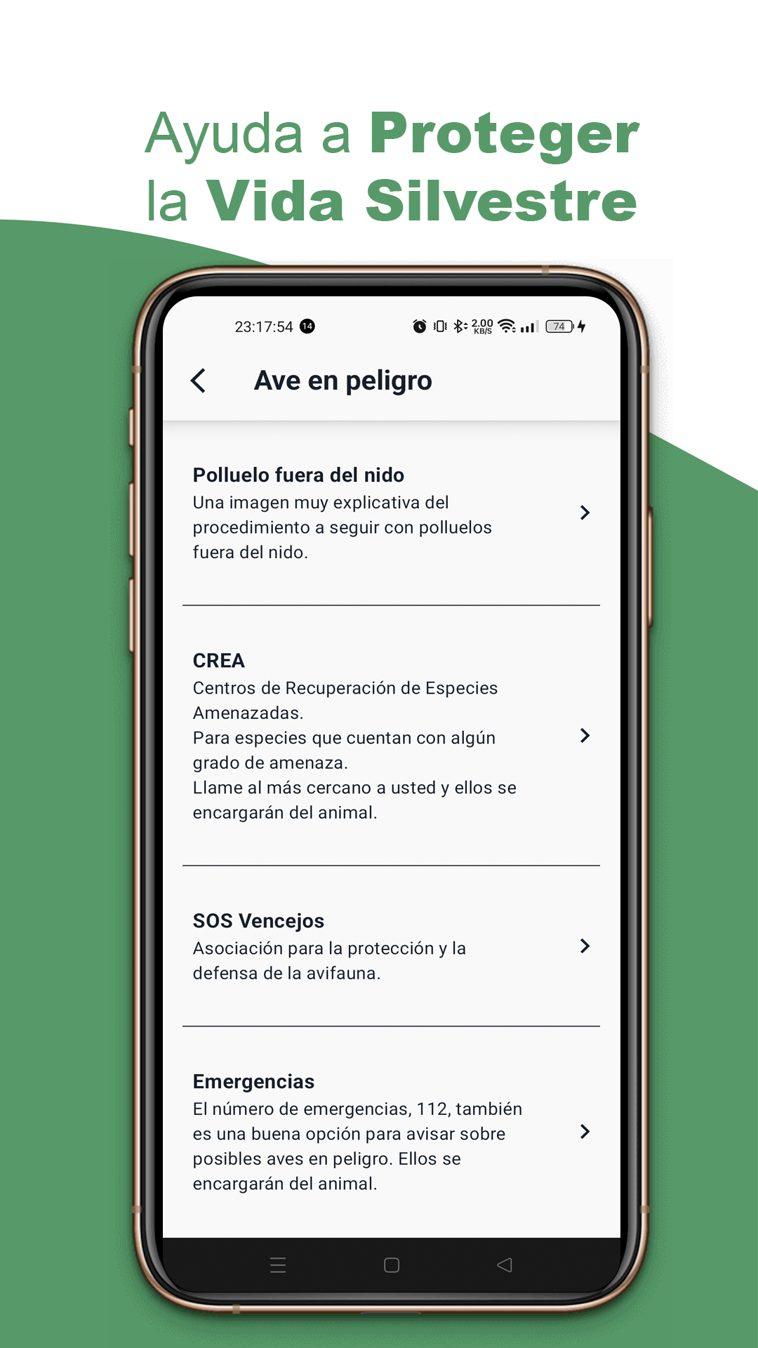 Perfil y comunidad en BirdPedy en español